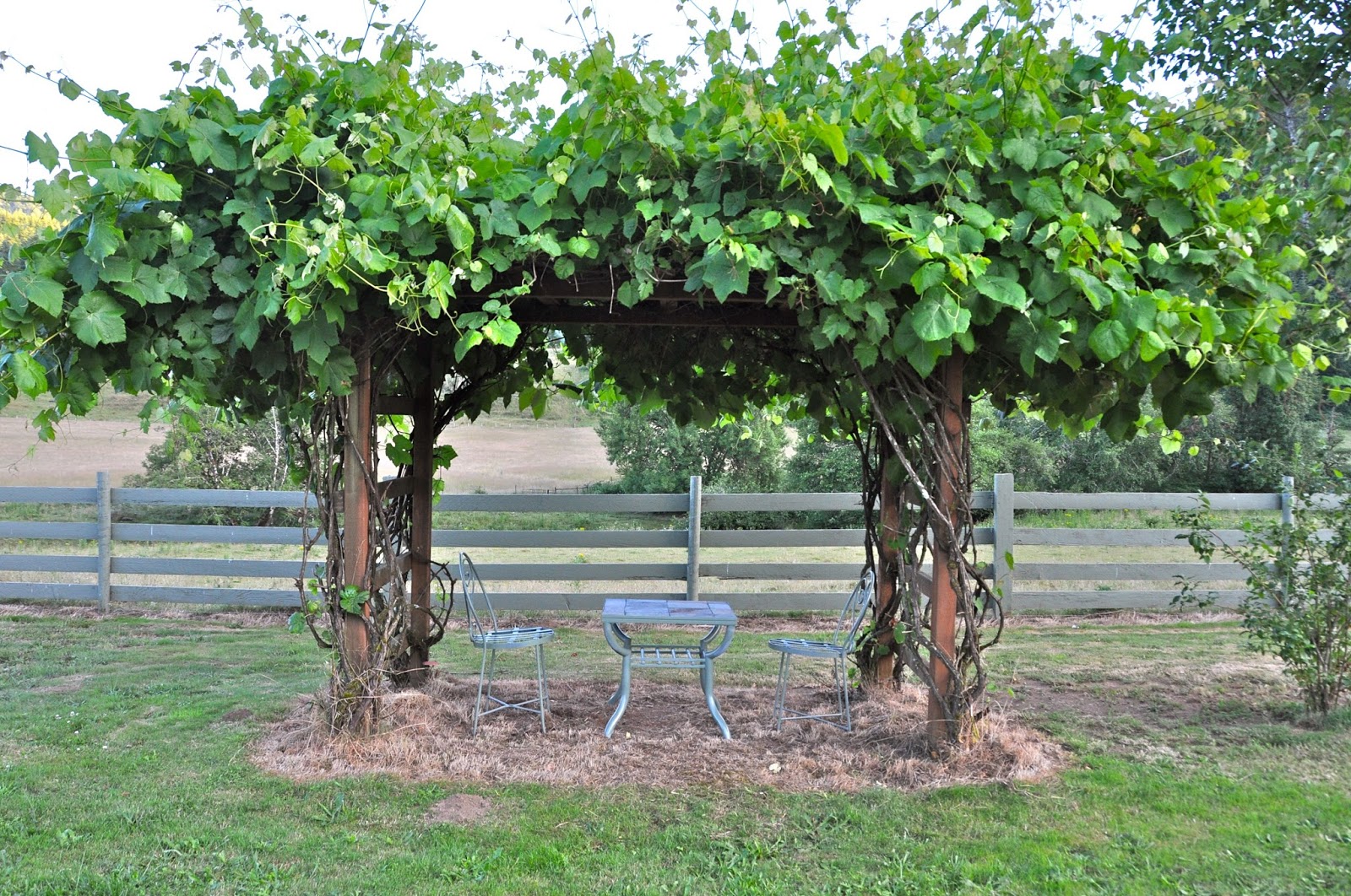 Sign up for new styles from Vineyard Vines Find the best selection of cheap vineyard vines in bulk here at seusinteresses.tk Including wedding wisteria long vine and artificial climbing flowering vines at wholesale prices from vineyard vines manufacturers. Source discount and high quality products in hundreds of categories wholesale direct from China.